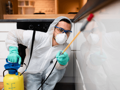 About Pigeon Control Systems Carlinville - pigeon control systems experts in Carlinville